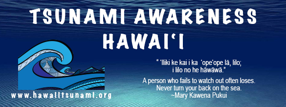 Hawaii tsunami warning impact